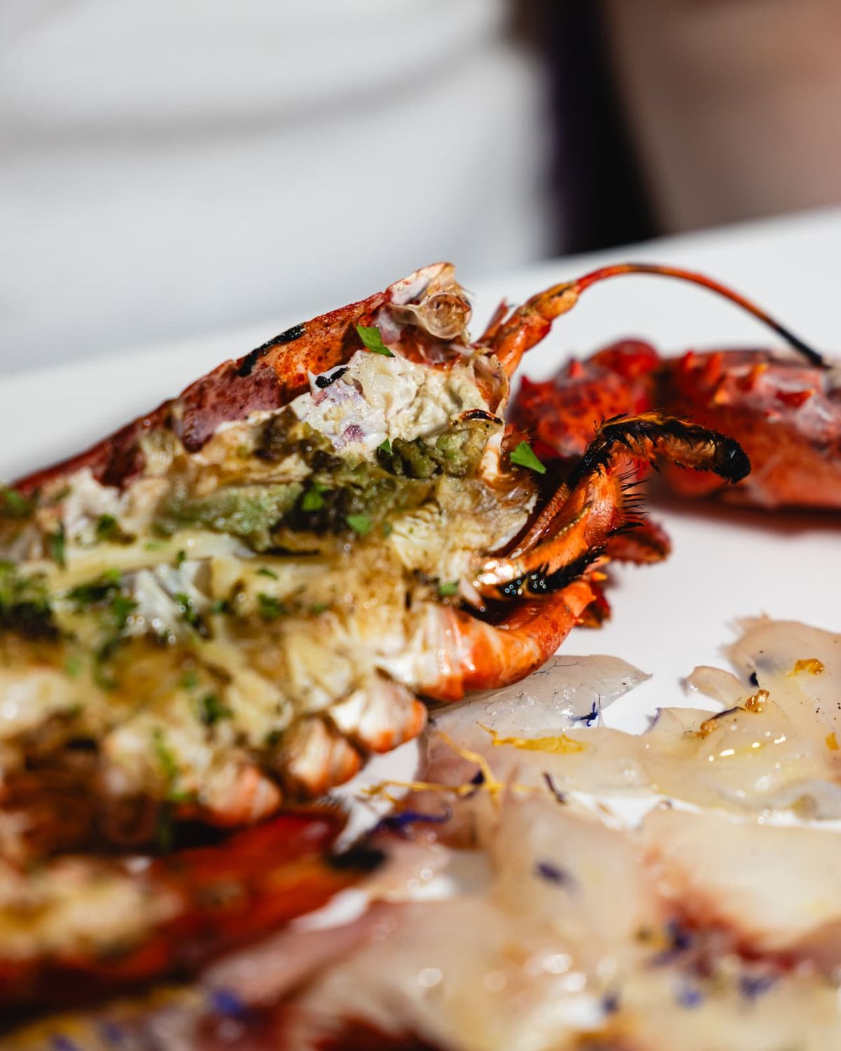 Grilled lobster served with raw fish